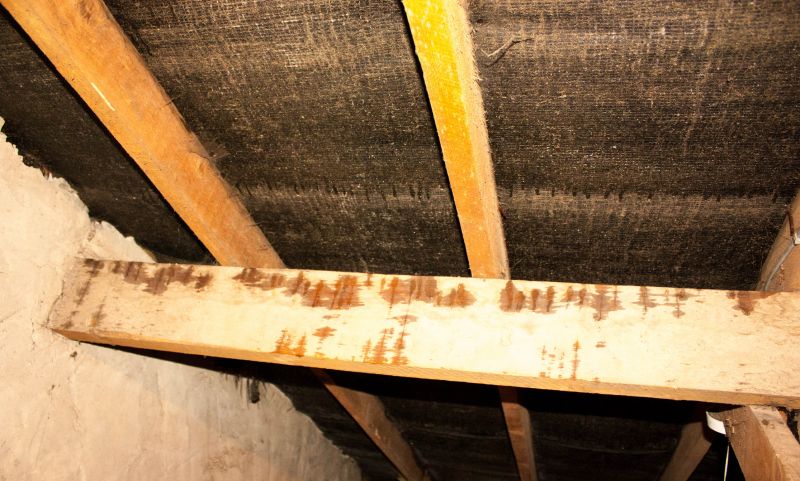 Ceiling Leak Repair Service in Katy, TX