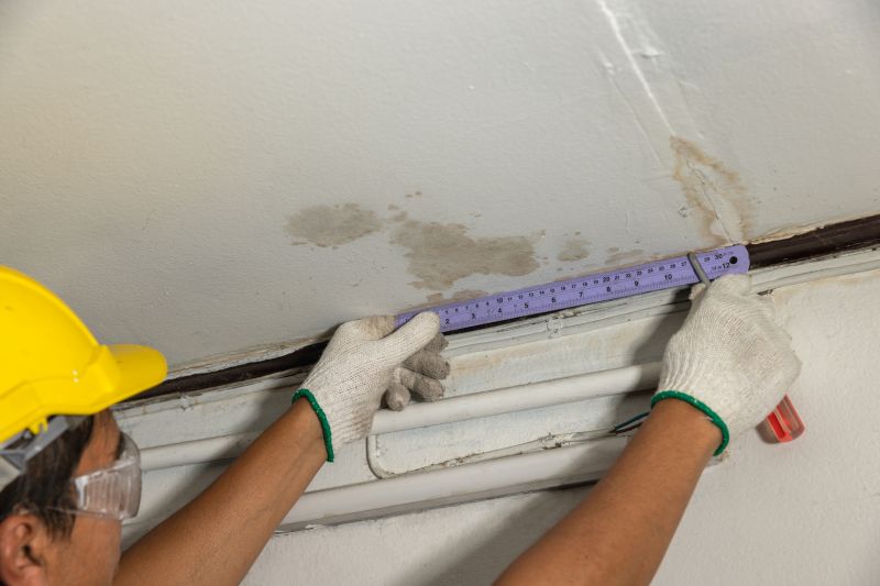 Leaking Ceiling Repair in Denver County, CO